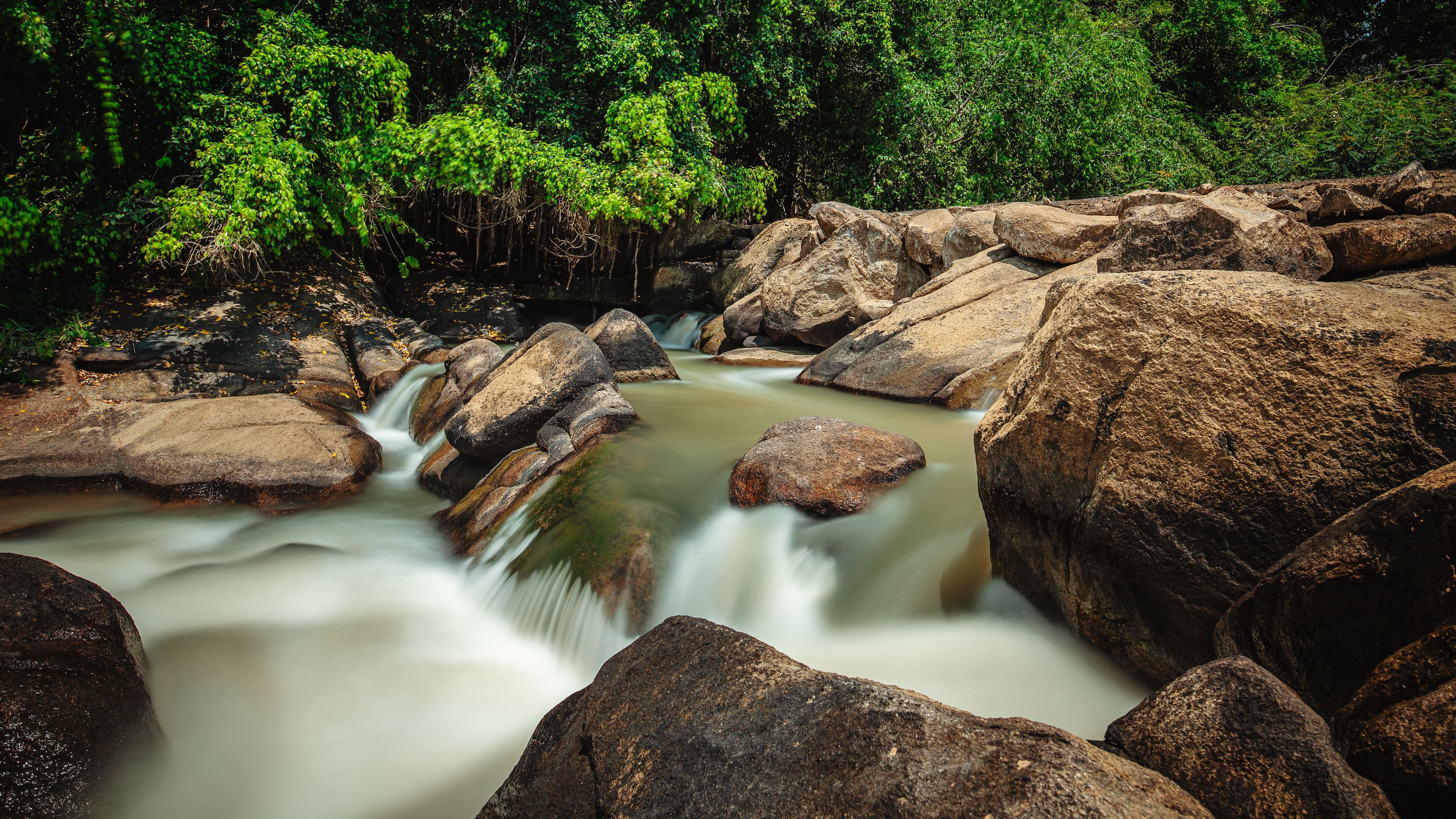 Gashaka Gumti National Park